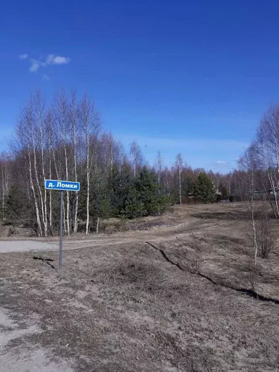 Участок в Нижегородская область, Городецкий муниципальный округ, д. ... - Фото 1
