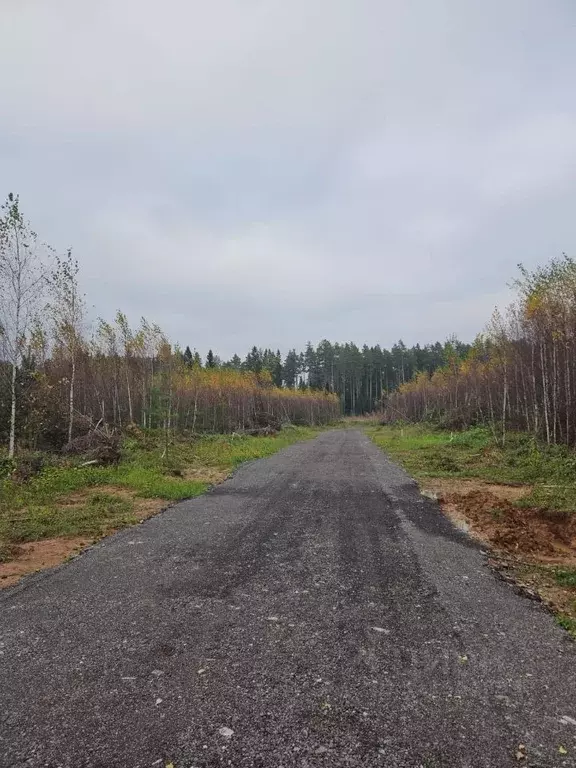 Участок в Московская область, Солнечногорск городской округ, д. ... - Фото 1