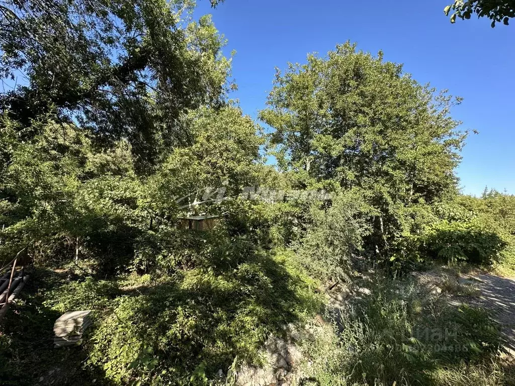 Участок в Крым, Алушта муниципальный округ, Партенит пгт  (4.0 сот.) - Фото 1