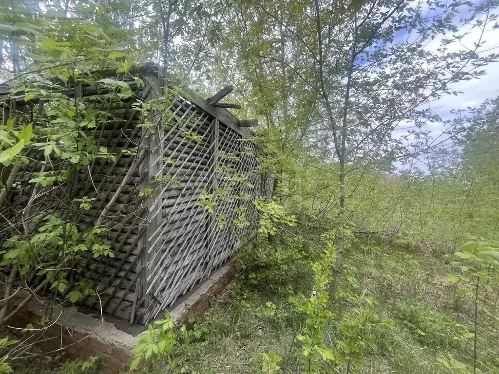 Участок в Саратовская область, Балашовский район, Хоперское ... - Фото 1