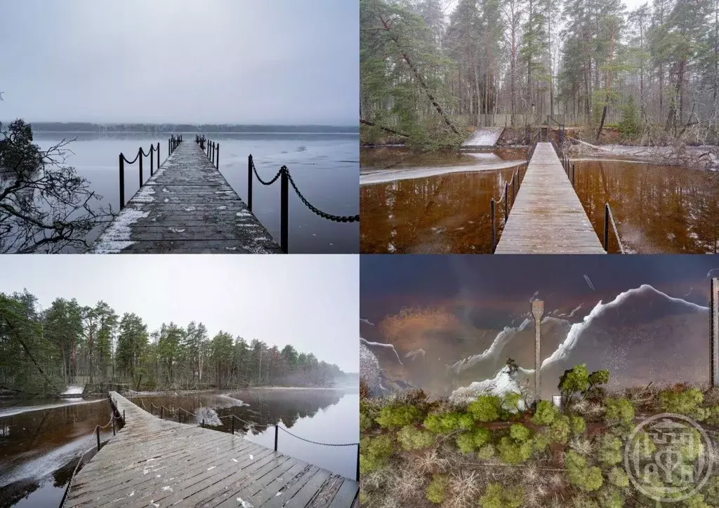 Дом в Ленинградская область, Выборгский район, Рощинское городское ... - Фото 1