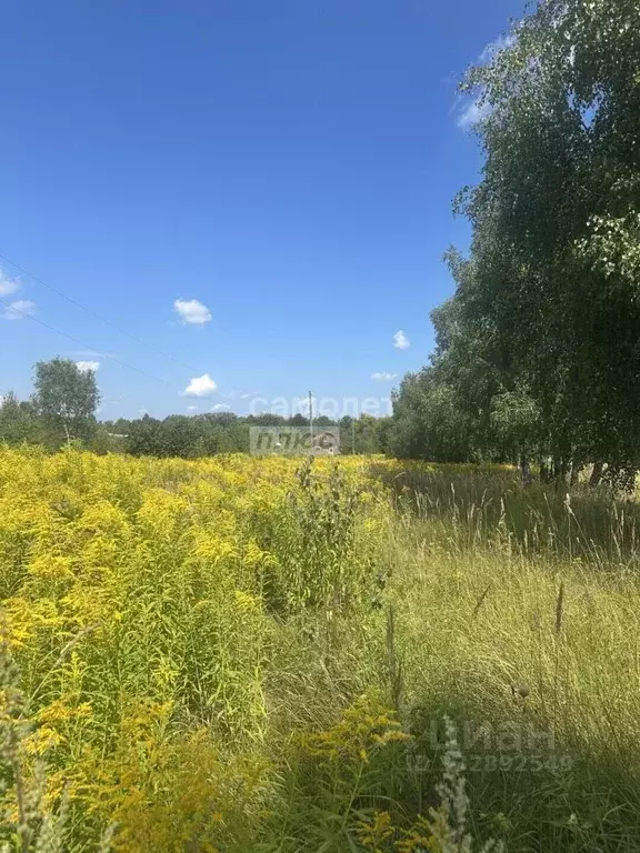 Участок в Нижегородская область, Бор муниципальный округ, д. Шубино ... - Фото 1