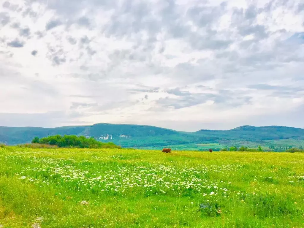 Крым Село Первомайское Купить Участок Ижс