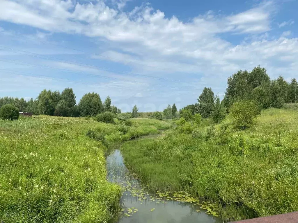 Участок в Ярославская область, Ярославский муниципальный округ, д. ... - Фото 1