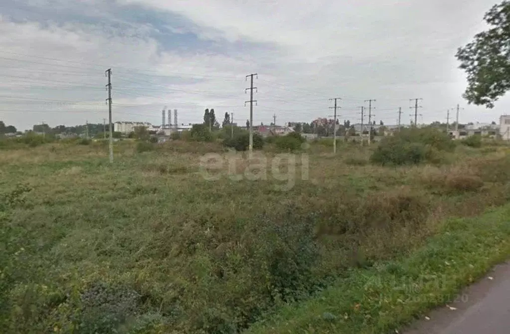 Участок в Калининградская область, Зеленоградск Прибой садоводческое ... - Фото 2