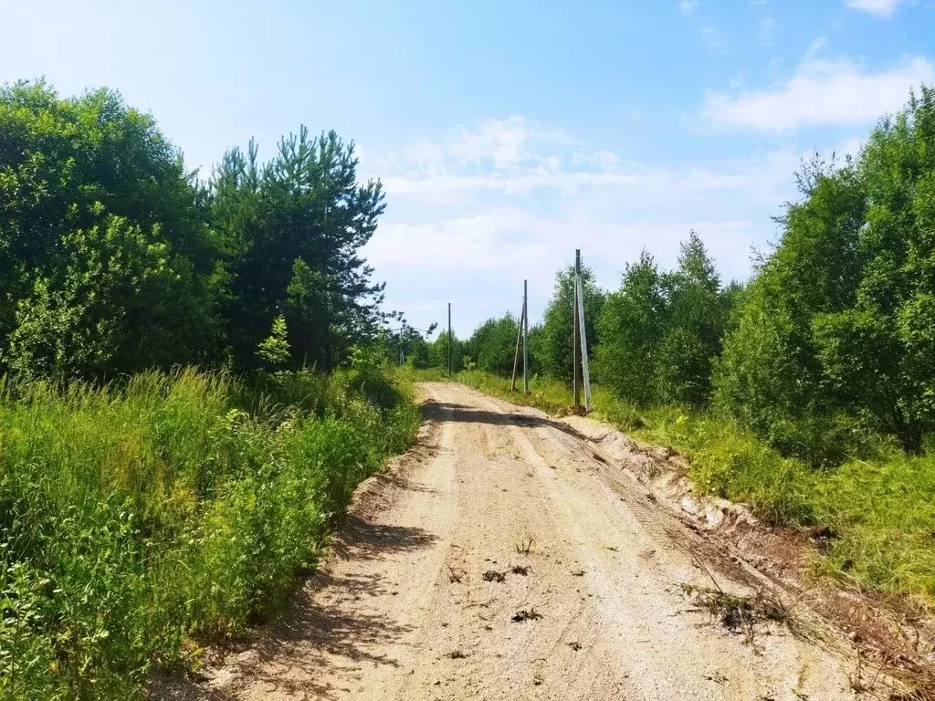 Участок в Тульская область, Ясногорский район, Иваньковское с/пос, д. ... - Фото 2