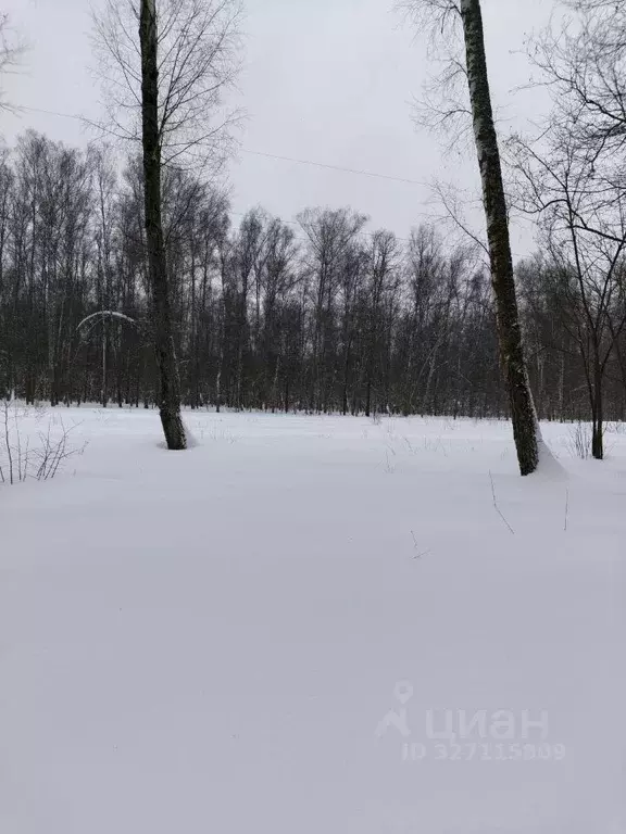 Участок в Московская область, Чехов муниципальный округ, д. Алачково  ... - Фото 1
