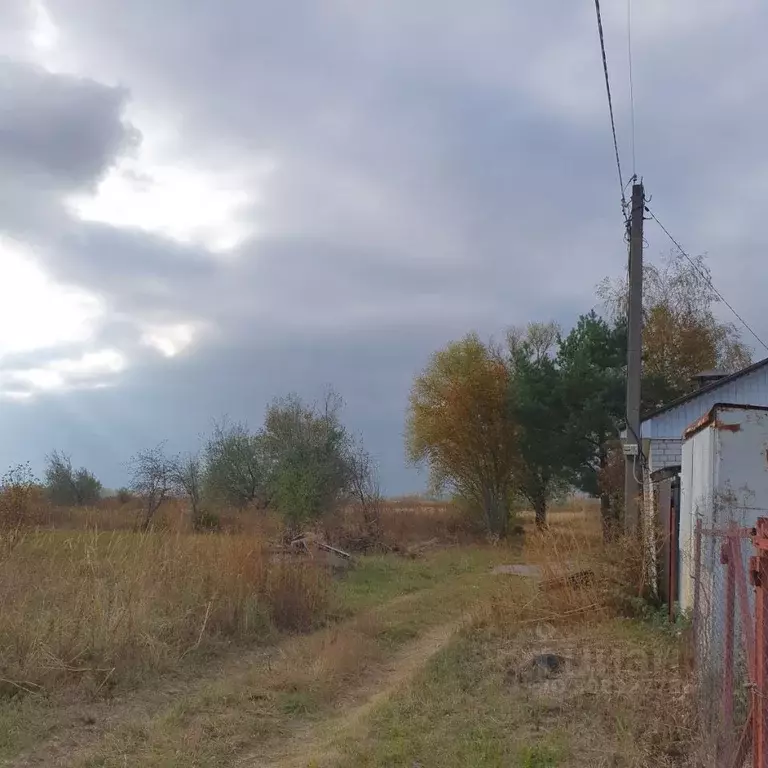 Участок в Воронежская область, Новоусманский район, Усманское 1-е ... - Фото 0