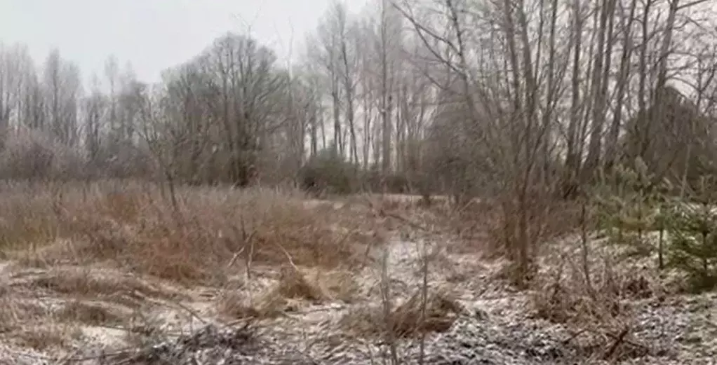 Участок в Московская область, Можайский муниципальный округ, д. ... - Фото 1