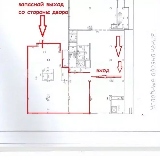 Помещение свободного назначения в Краснодарский край, Геленджик просп. ... - Фото 2