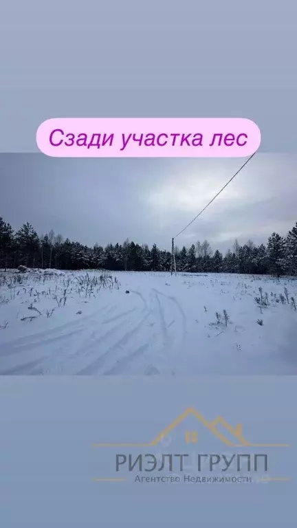 Участок в Татарстан, Высокогорский район, Семиозерское с/пос, Паевые ... - Фото 2