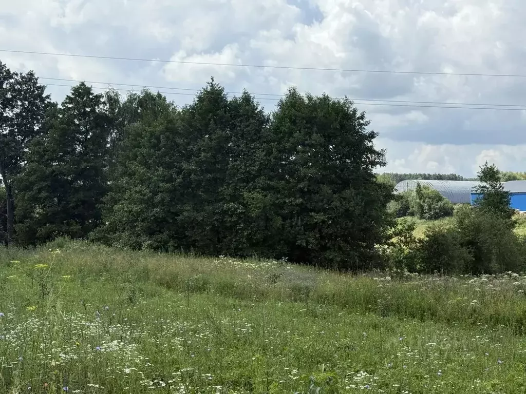 Участок в Московская область, Серпухов городской округ, д. Каргашино ... - Фото 1