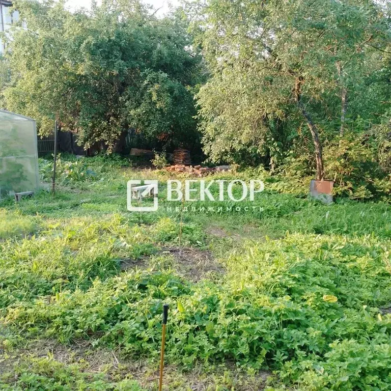 Участок в Костромская область, Кострома Малышковская ул., 40 (8.0 ... - Фото 0