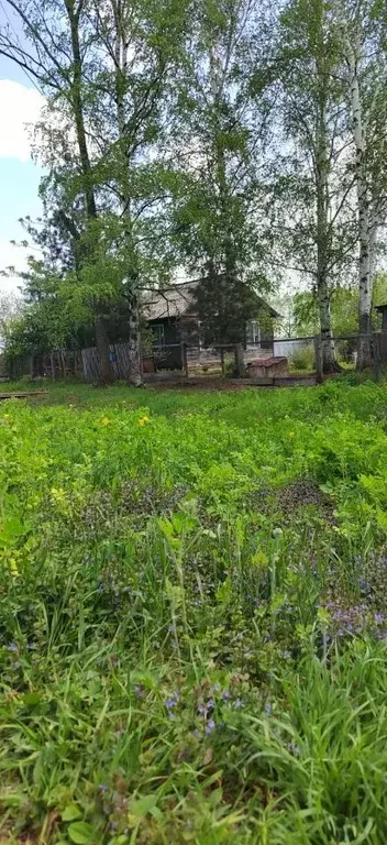 Дом в Хабаровский край, Вяземский район, с. Дормидонтовка  (47 м) - Фото 0