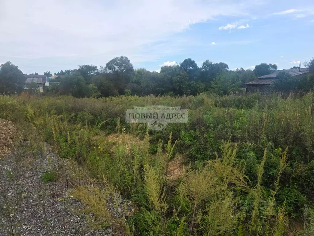 Участок в Приморский край, Арсеньев ул. 1-я Кирзаводская, 10 (14.0 ... - Фото 2