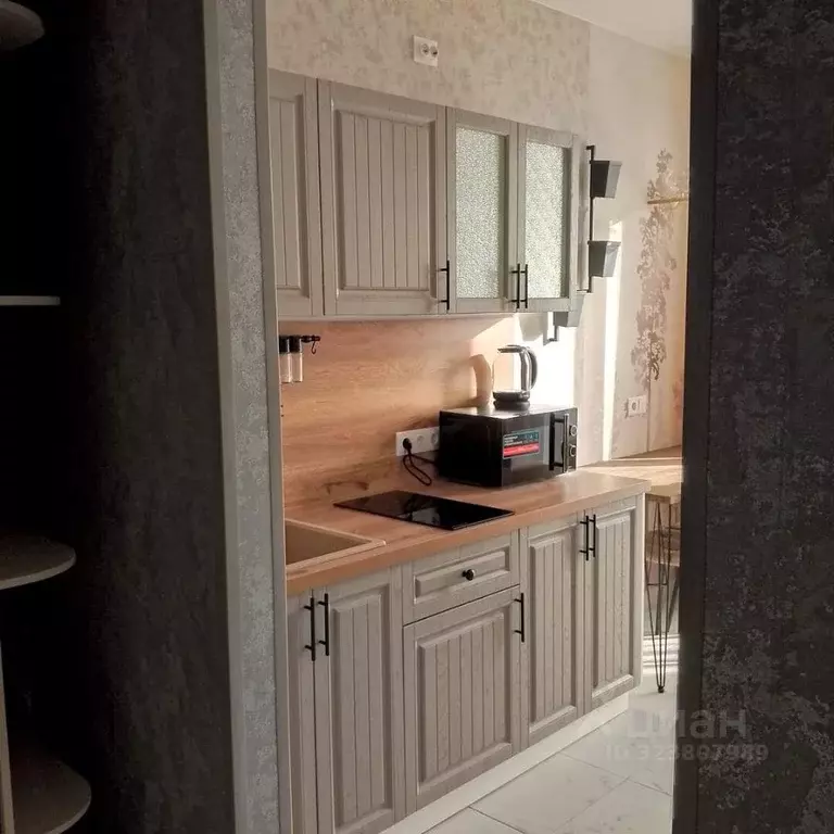 1-к кв. Краснодарский край, Сочи ул. Искры, 88к1 (27.4 м) - Фото 2