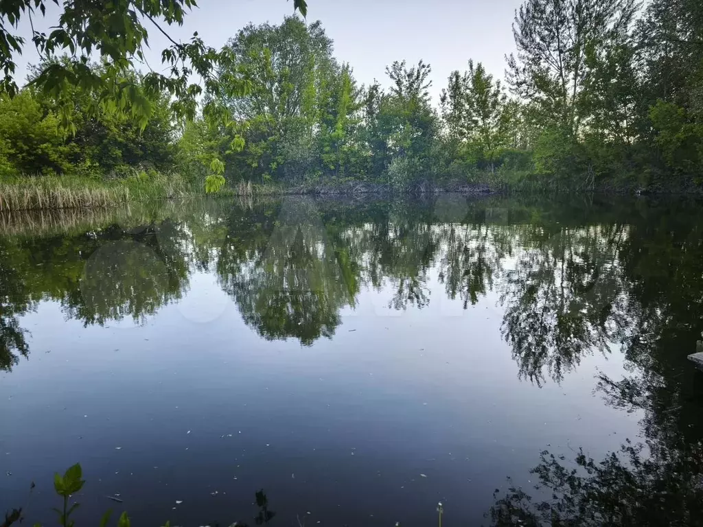 Участок 13 сот. (СНТ, ДНП) - Фото 1