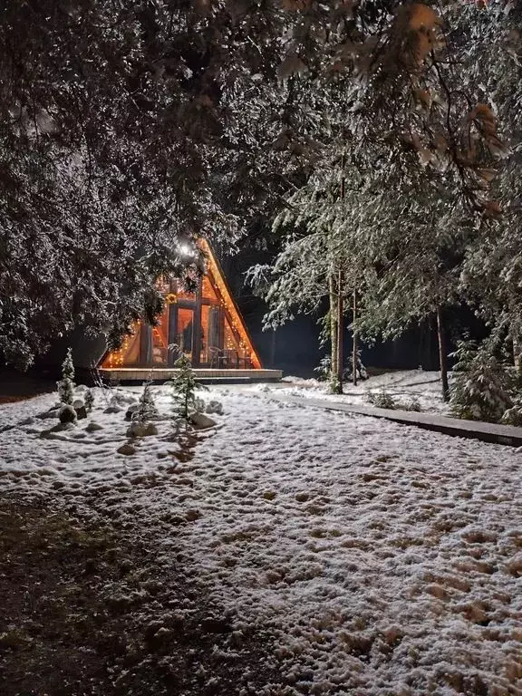 Дом в Нижегородская область, Чкаловск муниципальный округ, д. Зелебиха ... - Фото 1