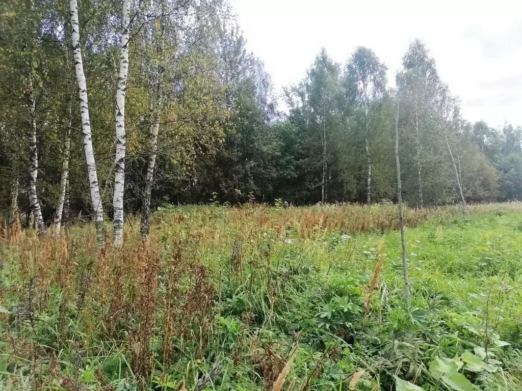 Участок в Владимирская область, Киржачский муниципальный округ, д. ... - Фото 2