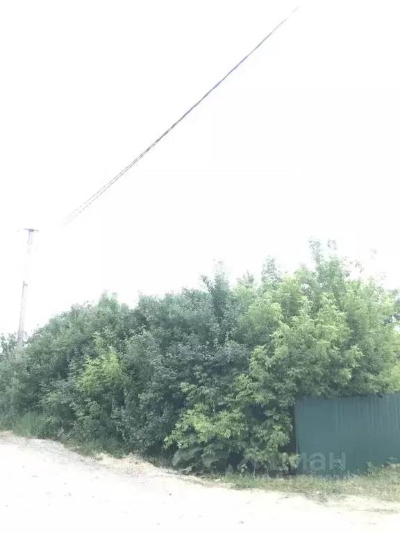Дом в Воронежская область, Хохольский район, с. Гремячье Комсомольская ... - Фото 1