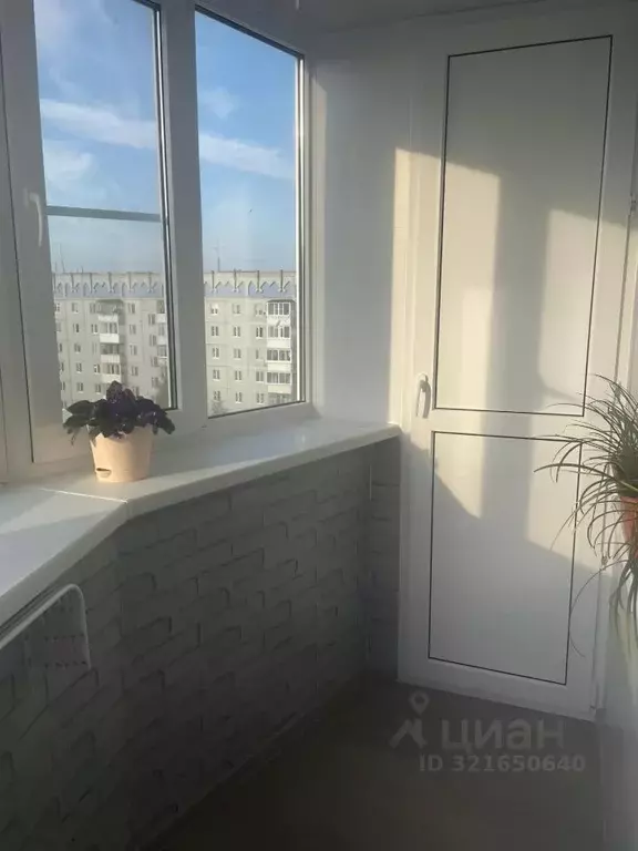 1-к кв. Коми, Сыктывкар Емвальская ул., 7 (33.8 м) - Фото 2