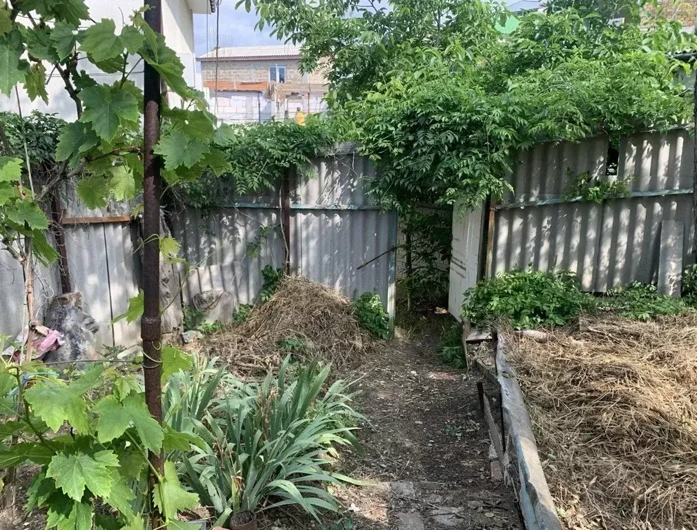 Участок в Крым, Феодосия муниципальный округ, Орджоникидзе пгт ул. ... - Фото 1