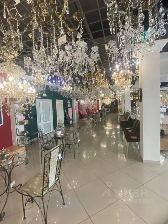 Торговая площадь в Пензенская область, Пенза проезд Металлистов (214 ... - Фото 2