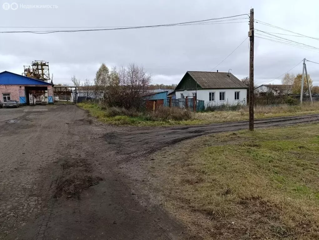 Дом в Тюкалинск, Депутатская улица (52 м) - Фото 1