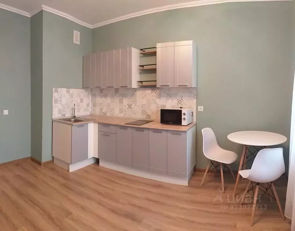 Студия Ленинградская область, Кудрово г. Всеволожский район, Заневское ... - Фото 2