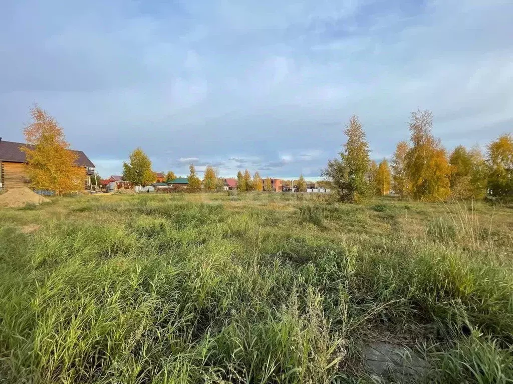 Участок в Новосибирская область, Новосибирский район, Морской ... - Фото 2