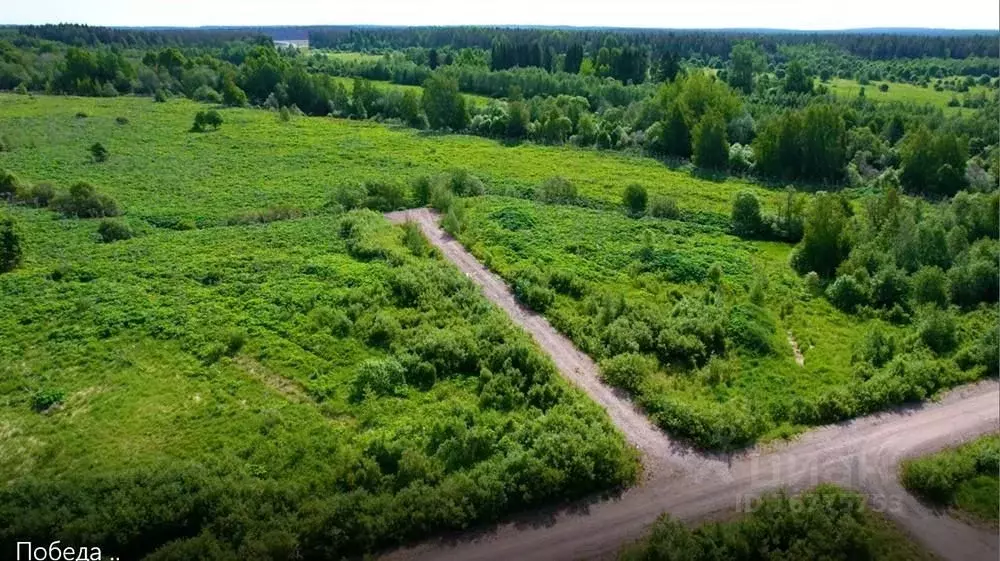 Купить Землю В Днп Зеркальный Выборгский Район