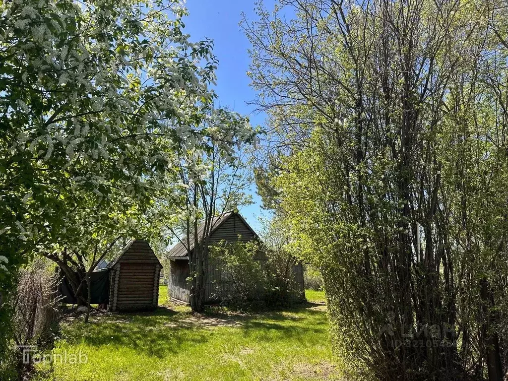 Дом в Алтайский край, Павловский район, с. Стуково Молодежная ул., 11 ... - Фото 1