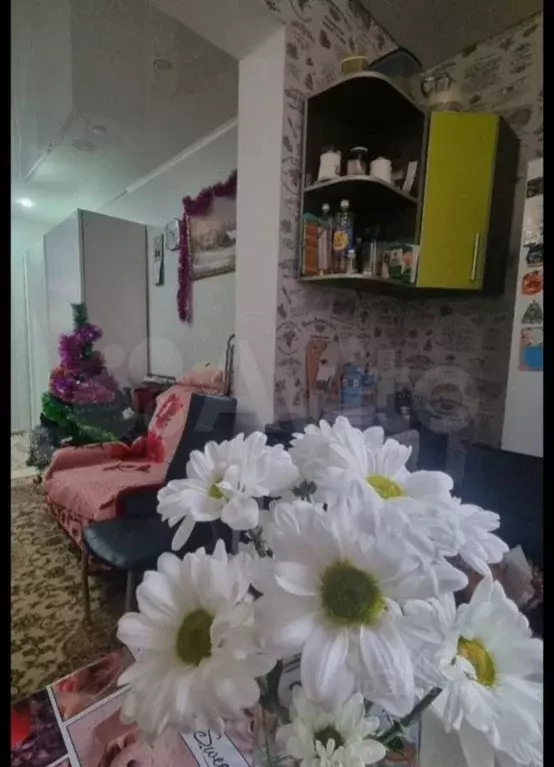 Студия Краснодарский край, Краснодар пос. Российский, ул. Парижская, ... - Фото 1