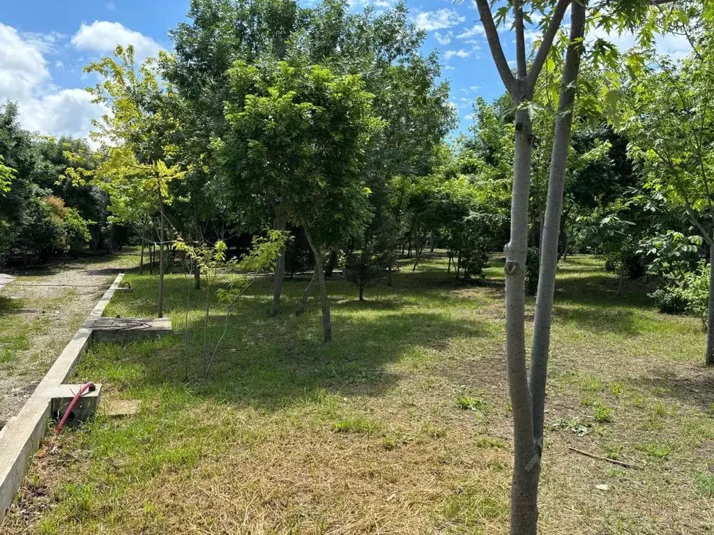 Участок в Краснодарский край, Новороссийск городской округ, с. ... - Фото 1