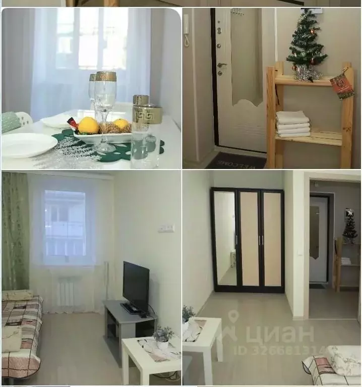 1-к кв. Волгоградская область, Волгоград ул. Степанищева, 47 (27.0 м) - Фото 1