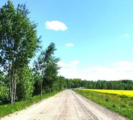 Коттедж в Ленинградская область, Гатчинский район, Графская Славянка ... - Фото 1