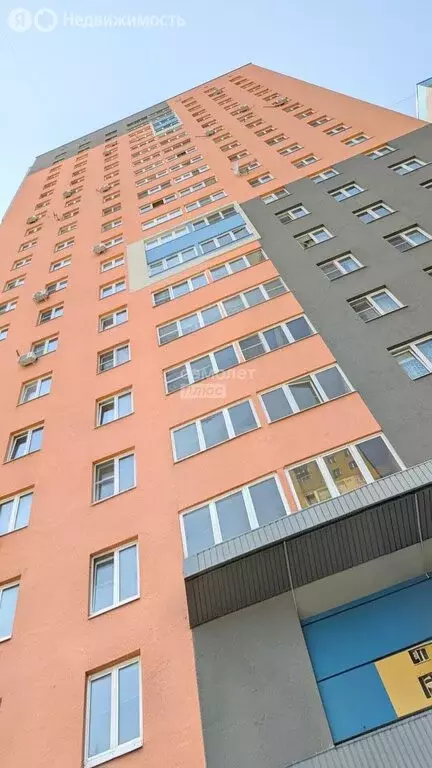 Квартира-студия: деревня Афонино, улица Красная Поляна, 3 (18.1 м) - Фото 1