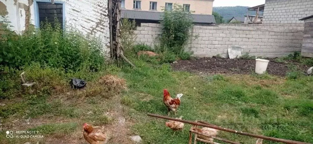 Участок в Кабардино-Балкария, Черекский район, с. Бабугент ул. ... - Фото 2