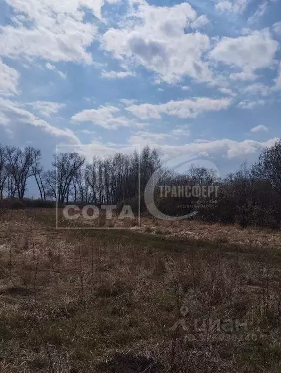 Участок в Воронежская область, с. Новая Усмань 142 (1189.0 сот.) - Фото 0