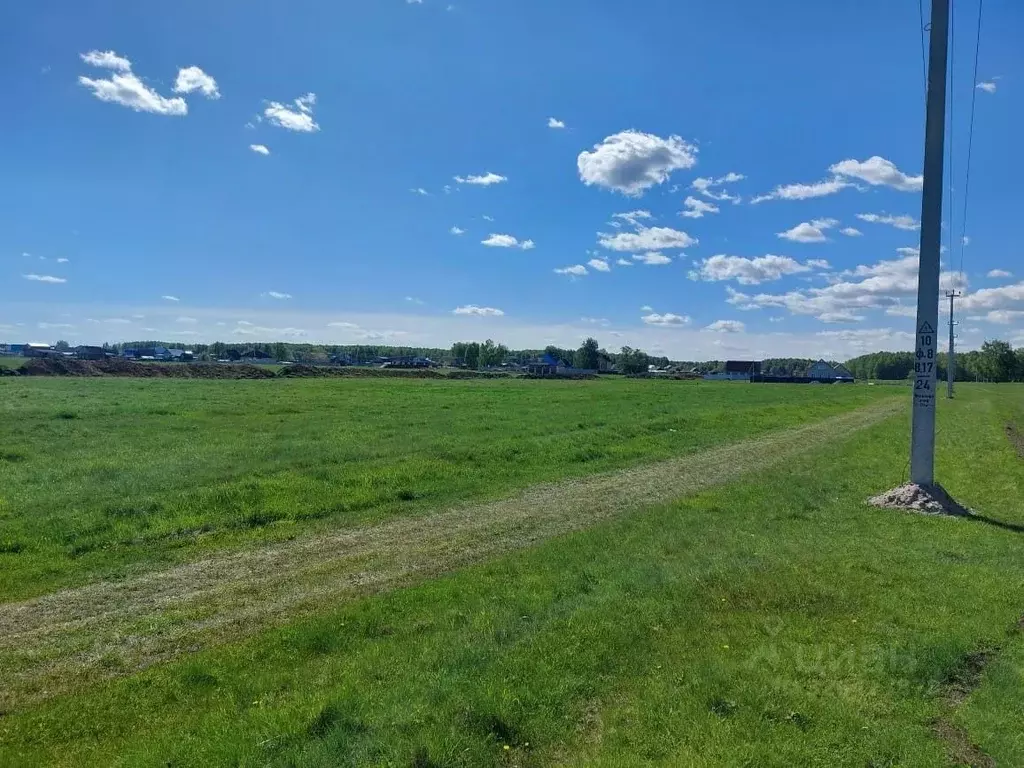 Участок в Челябинская область, Аргаяшский муниципальный округ, д. ... - Фото 2