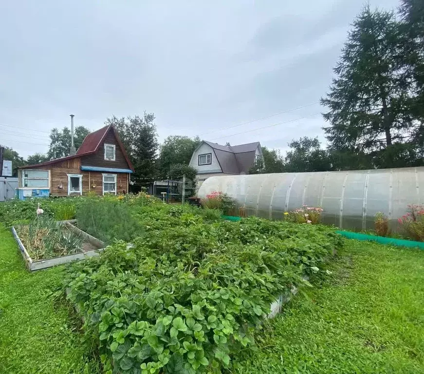 Дом в Камчатский край, Петропавловск-Камчатский пос. Авача, с20 (32 м) - Фото 1