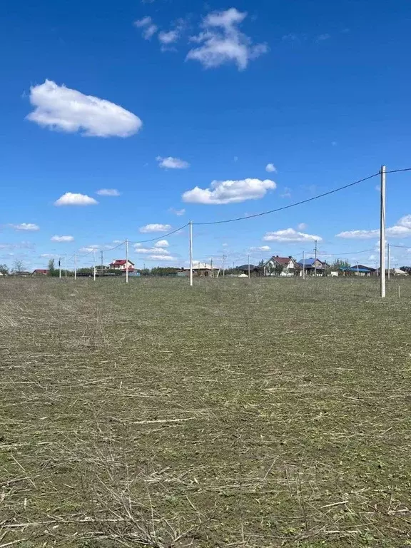 Участок в Ростовская область, Мясниковский район, с. Большие Салы  ... - Фото 1