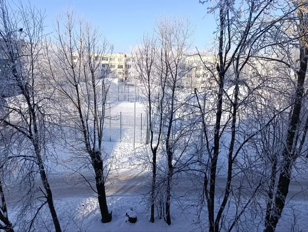 2-к кв. Ленинградская область, Волосовский район, д. Большая Вруда 3 ... - Фото 2