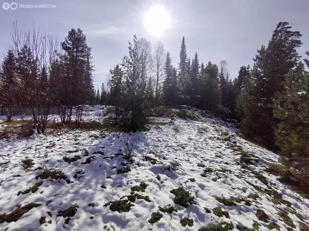 Дом в Турочак, Лесхозная улица (45.3 м) - Фото 1