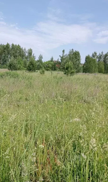Участок в Московская область, Егорьевск муниципальный округ, с. ... - Фото 0