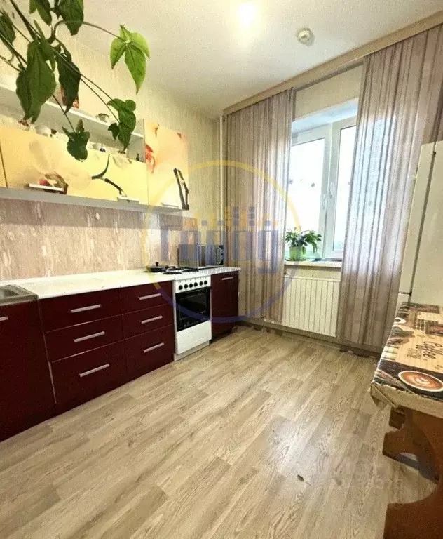 2-к кв. Челябинская область, Копейск ул. Калинина, 17 (56.3 м) - Фото 1