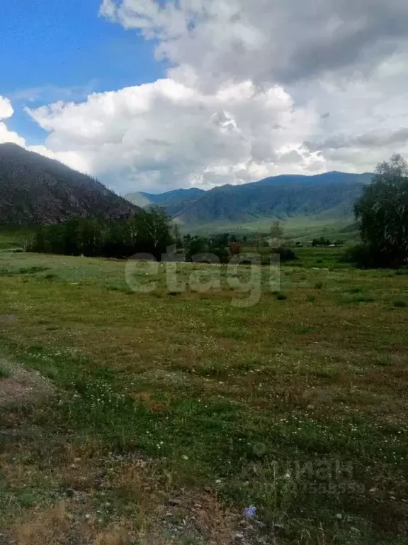 Участок в Алтай, Онгудайский район, Хабаровское с/пос, с. Улита  (45.0 ... - Фото 1