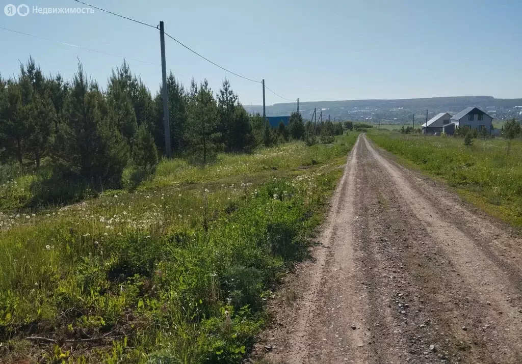 Участок в Шаран, улица 8 Марта, 52 (16.91 м) - Фото 1