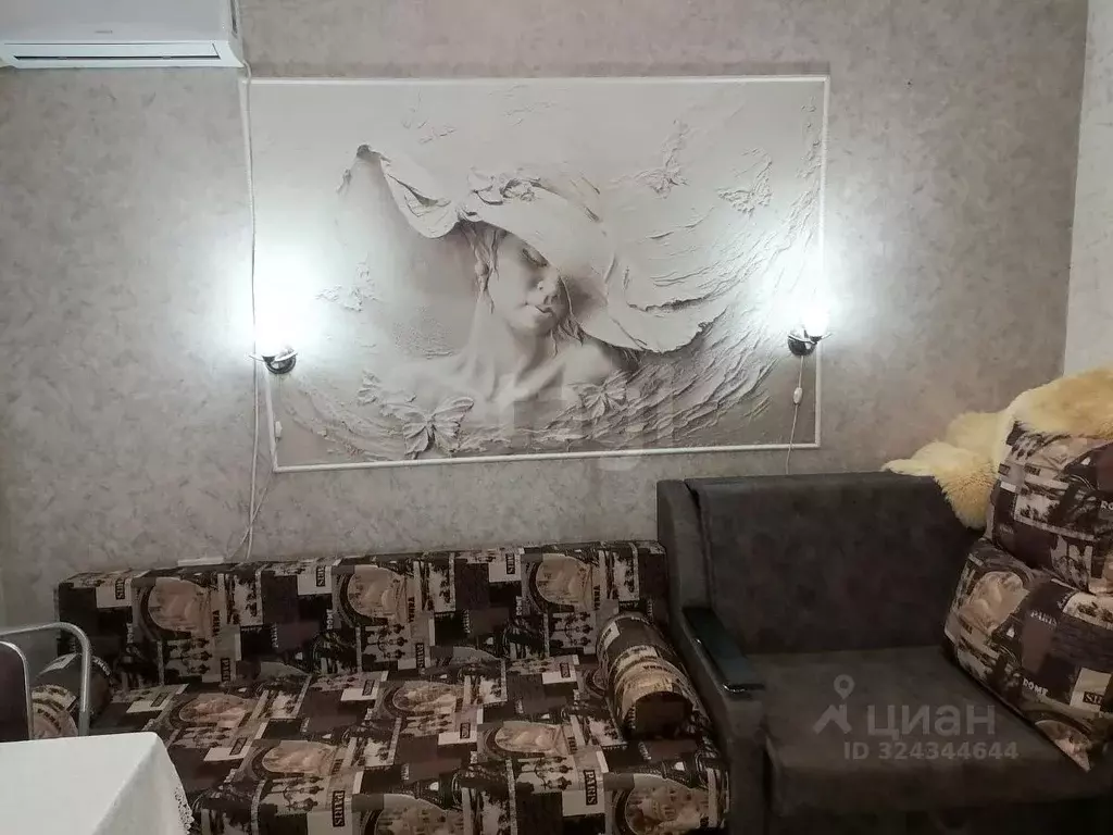 Студия Севастополь с. Орловка, ш. Качинское, 33Б (28.0 м) - Фото 1