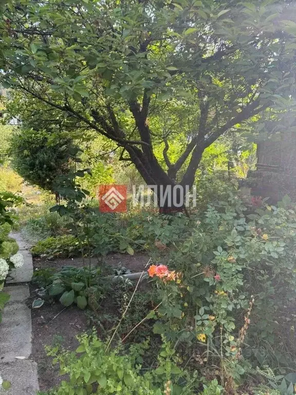 Участок в Севастополь, Севастополь, Инкерман г. Ветеран СНТ, 27 (4.5 ... - Фото 2